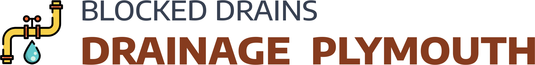 website logo